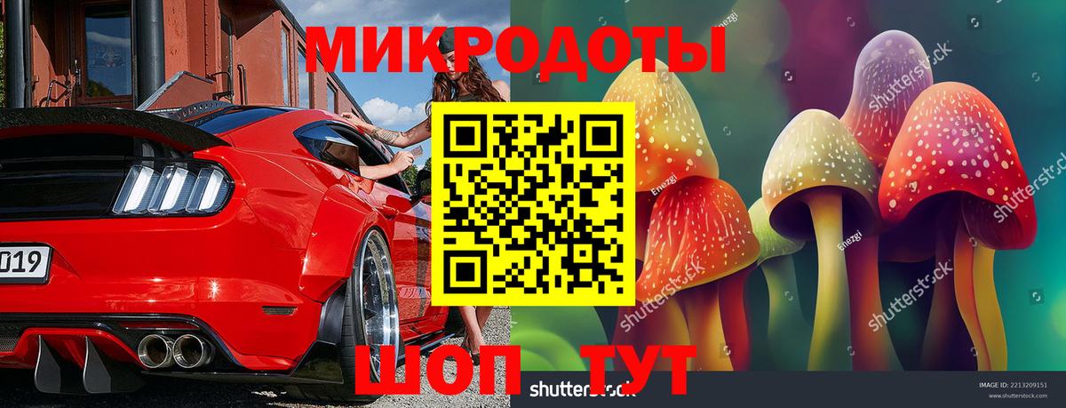 Галлюциногенные грибы Psilocybine cubensis Майкоп