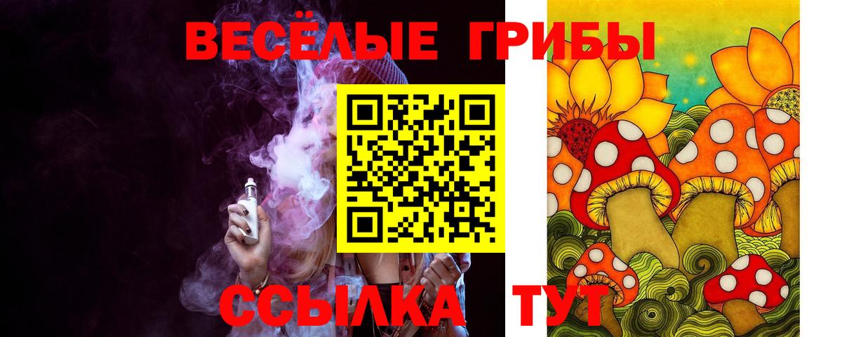Псилоцибиновые грибы MAGIC MUSHROOMS  Вход с VPN  Майкоп 